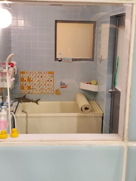 Mozuミニチュア展　ようこそ、ちいさな世界へ。in 銀座（銀座三越）に投稿された画像（2025/11/22）