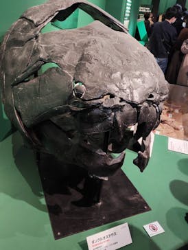 特別展「大絶滅展―生命史のビッグファイブ」に投稿された画像（2025/11/22）