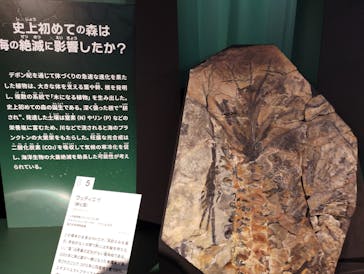 特別展「大絶滅展―生命史のビッグファイブ」に投稿された画像（2025/11/22）