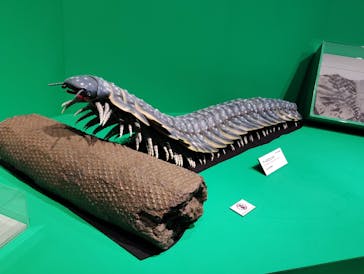 特別展「大絶滅展―生命史のビッグファイブ」に投稿された画像（2025/11/22）