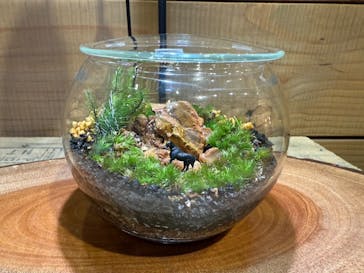 Terrariums メトロ・エム後楽園店に投稿された画像（2025/11/22）