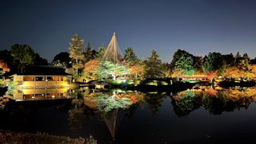 国営昭和記念公園 秋の夜散歩に投稿された画像（2025/11/22）