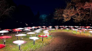 国営昭和記念公園 秋の夜散歩に投稿された画像（2025/11/22）