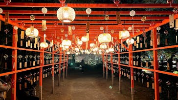 国営昭和記念公園 秋の夜散歩に投稿された画像（2025/11/22）