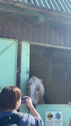 マザー牧場に投稿された画像（2025/11/22）