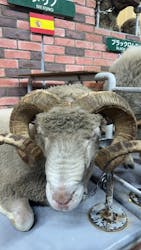 マザー牧場に投稿された画像（2025/11/22）