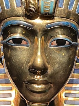 MYSTERY OF TUTANKHAMEN 体感型古代エジプト展に投稿された画像（2025/11/22）