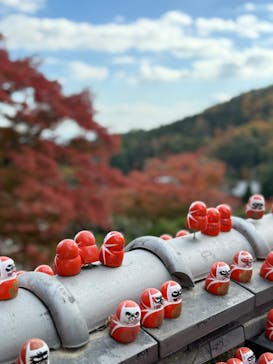 勝尾寺に投稿された画像（2025/11/22）