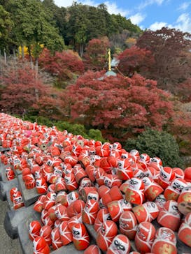 勝尾寺に投稿された画像（2025/11/22）