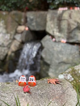 勝尾寺に投稿された画像（2025/11/22）