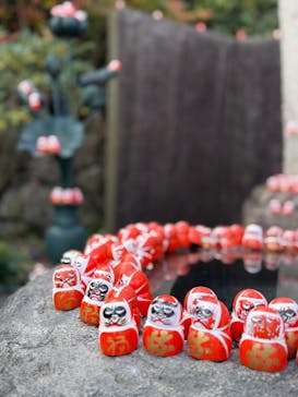 勝尾寺に投稿された画像（2025/11/22）