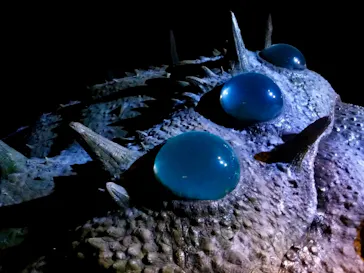 金曜ロードショーとジブリ展（静岡展）に投稿された画像（2025/11/22）