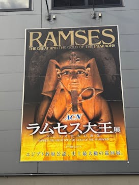 ACN ラムセス大王展 ファラオたちの黄金に投稿された画像（2025/11/22）