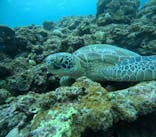 アイナ石垣島に投稿された画像（2025/11/22）