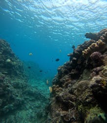 アイナ石垣島に投稿された画像（2025/11/22）