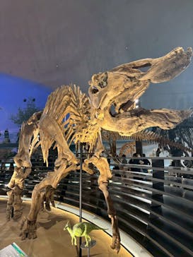 福井県立恐竜博物館に投稿された画像（2025/11/22）