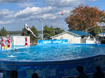 のとじま水族館に投稿された画像（2025/11/22）