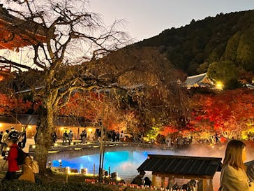 勝尾寺に投稿された画像（2025/11/22）