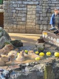 伊豆シャボテン動物公園に投稿された画像（2025/11/22）