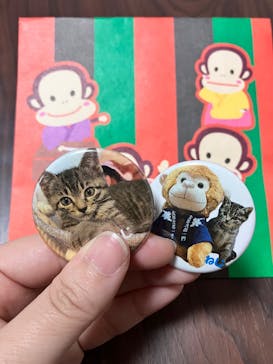 おさるランド＆アニタウン　日光さる軍団劇場に投稿された画像（2025/11/22）