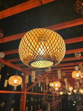 国営昭和記念公園 秋の夜散歩に投稿された画像（2025/11/22）