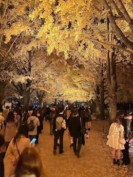 国営昭和記念公園 秋の夜散歩に投稿された画像（2025/11/22）