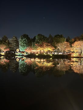 国営昭和記念公園 秋の夜散歩に投稿された画像（2025/11/22）