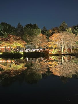 国営昭和記念公園 秋の夜散歩に投稿された画像（2025/11/22）
