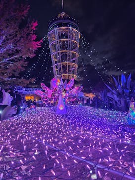 江の島シーキャンドルに投稿された画像（2025/11/22）