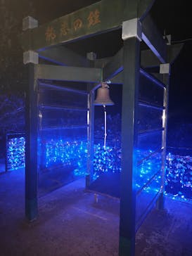 江の島シーキャンドルに投稿された画像（2025/11/22）