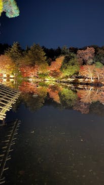 国営昭和記念公園 秋の夜散歩に投稿された画像（2025/11/22）