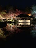 国営昭和記念公園 秋の夜散歩に投稿された画像（2025/11/22）