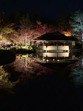 国営昭和記念公園 秋の夜散歩に投稿された画像（2025/11/22）