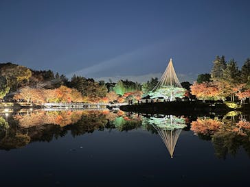 国営昭和記念公園 秋の夜散歩に投稿された画像（2025/11/22）
