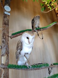 Moff animal cafe 小田原ダイナシティ店に投稿された画像（2025/11/22）