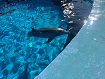 マリンワールド海の中道に投稿された画像（2025/11/22）