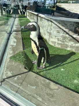 マリンワールド海の中道に投稿された画像（2025/11/22）