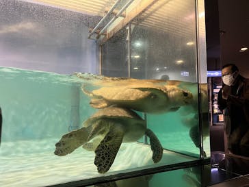 マリンワールド海の中道に投稿された画像（2025/11/22）