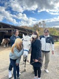 TANIMOTO HORSE RANCH（タニモトホースランチ）に投稿された画像（2025/11/22）