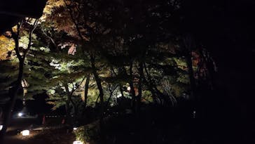 江戸東京たてもの園に投稿された画像（2025/11/22）