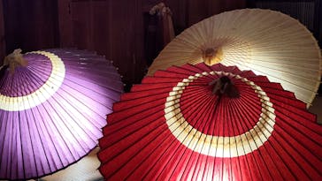 江戸東京たてもの園に投稿された画像（2025/11/22）