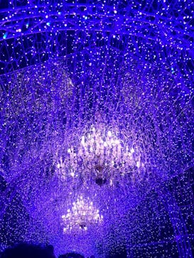 江の島シーキャンドルに投稿された画像（2025/11/22）