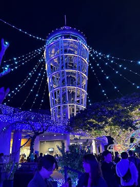 江の島シーキャンドルに投稿された画像（2025/11/22）