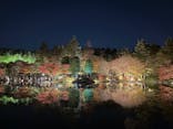 国営昭和記念公園 秋の夜散歩に投稿された画像（2025/11/22）