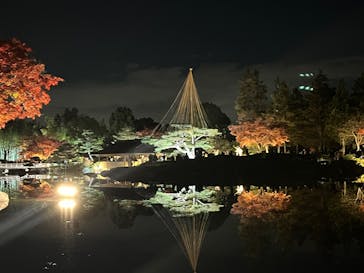 国営昭和記念公園 秋の夜散歩に投稿された画像（2025/11/22）