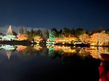 国営昭和記念公園 秋の夜散歩に投稿された画像（2025/11/22）
