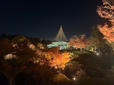 国営昭和記念公園 秋の夜散歩に投稿された画像（2025/11/22）