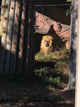 名古屋市東山動植物園に投稿された画像（2025/11/22）