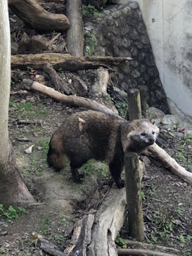 名古屋市東山動植物園に投稿された画像（2025/11/22）
