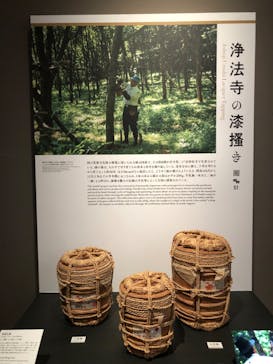 東京国立博物館に投稿された画像（2025/11/22）